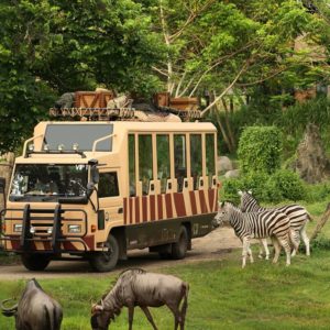 Bali With Safari Package